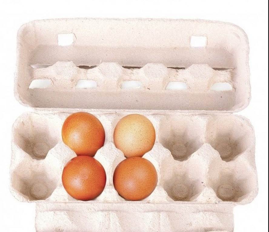 نوع2