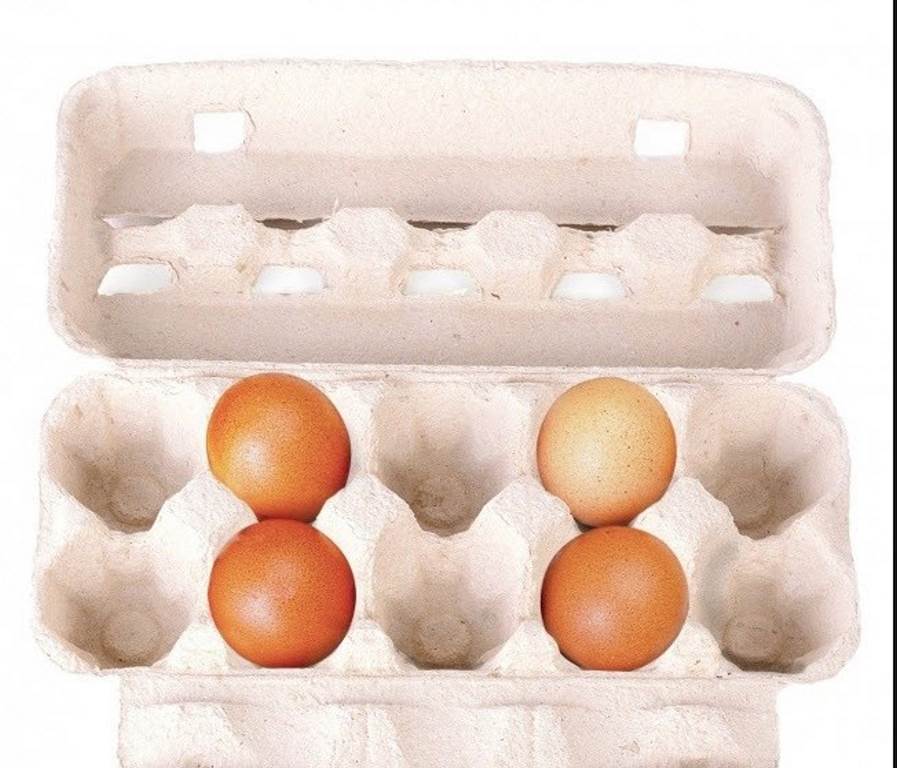 نوع3