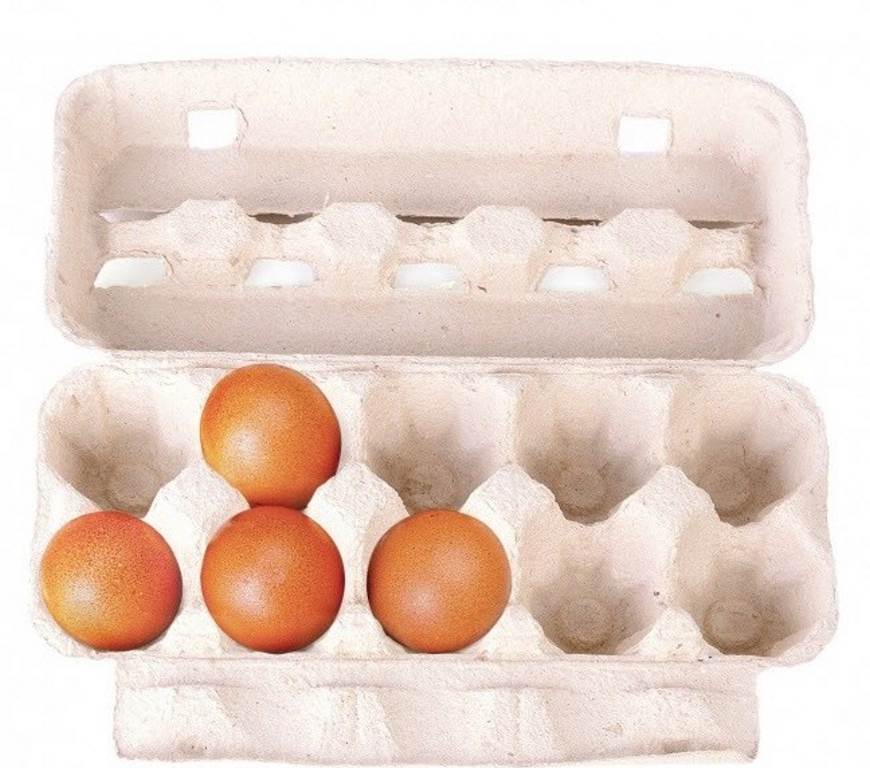 نوع4